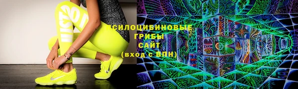 apvp Михайловск