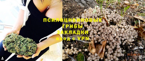 apvp Михайловск