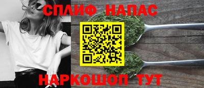 индика Заволжье
