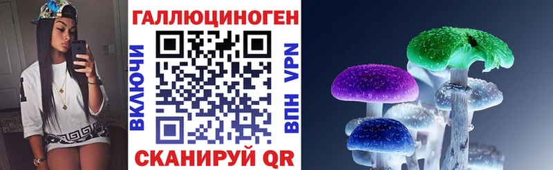 что такое   Иваново  Псилоцибиновые грибы Magic Shrooms 