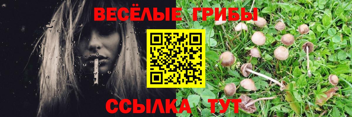 Псилоцибиновые грибы Magic Shrooms Иваново